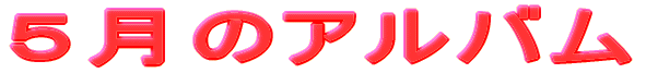@@@@@@@S